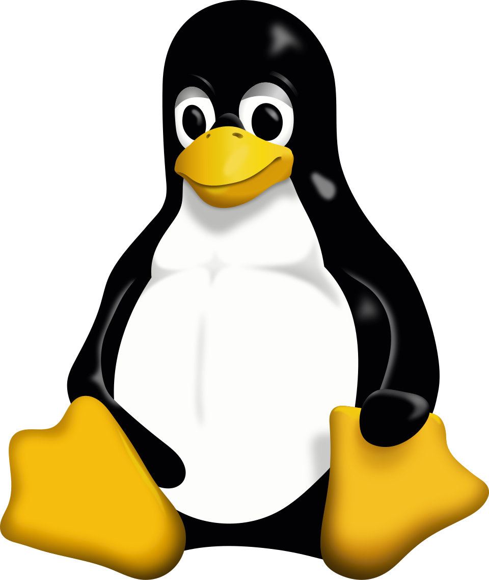 WebP rules.